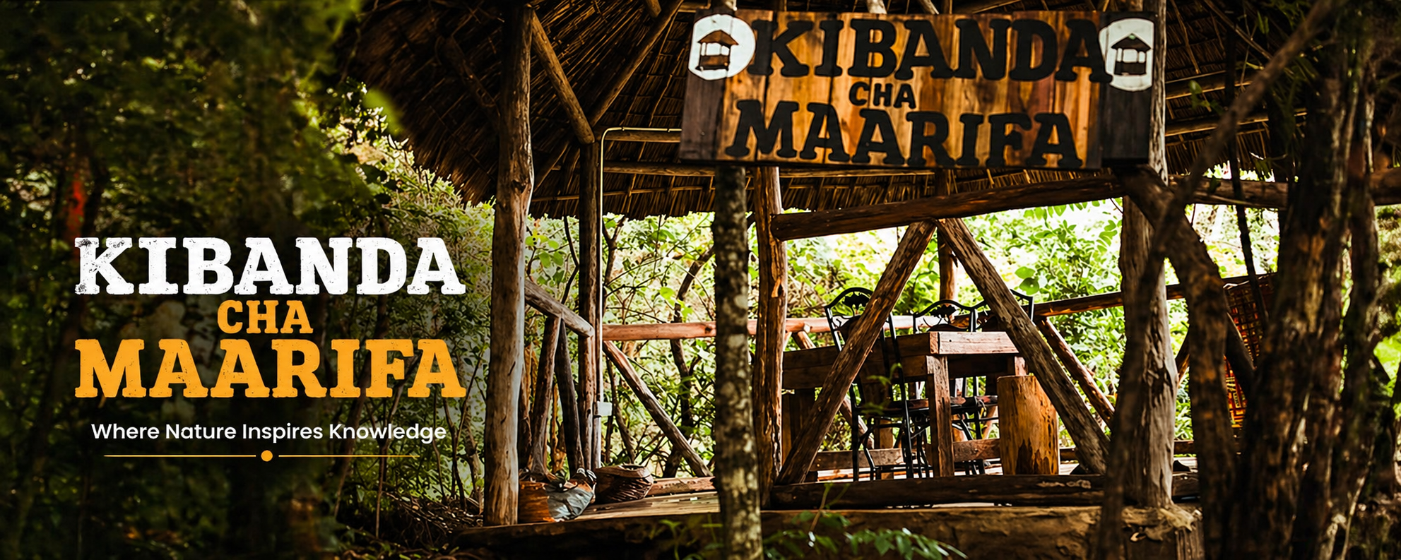 Namata Forest – Contact Us